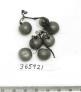 Click for 1 image(s) for this accession. FRUIT